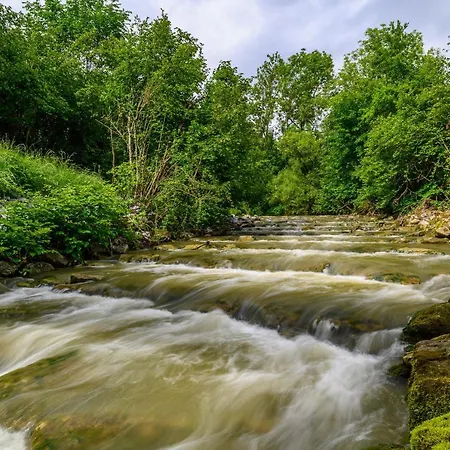 Suite In&Out Der Perfekte Ort Um Zu Entspannen Mit Weitblick Aufs Naturschutzgebiet 아파트 Oberteuringen